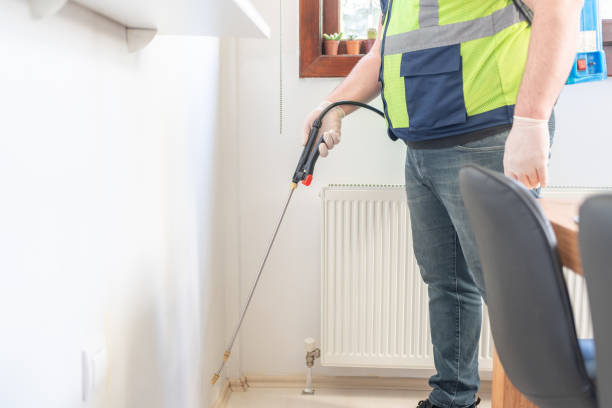 Best Wasp Removal Services  in Little Walnut Village, NM