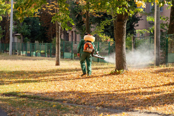 Best Best Pest Control Companies  in Little Walnut Village, NM