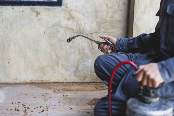 Best Commercial Pest Control Services  in Little Walnut Village, NM